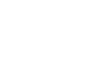speedrabbit